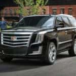 Used 2019 Cadillac Escalade in Waukesha, WI