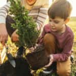 Family planting trees outdoors in springtime