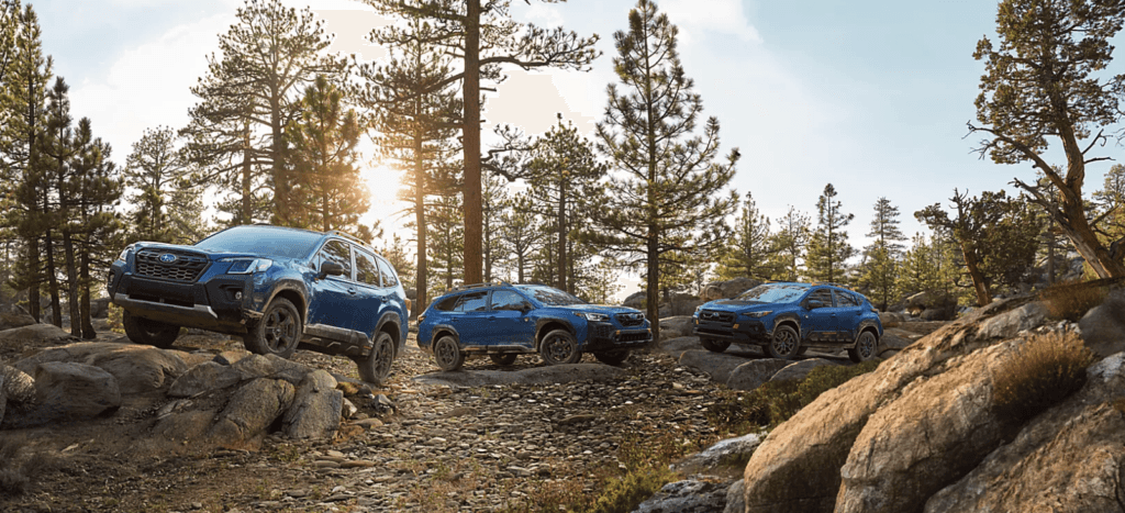 ubaru Wilderness lineup — Subaru Forester, Outback, and Crosstrek parked on a rocky forest trail at sunset, showcasing off-road capability.