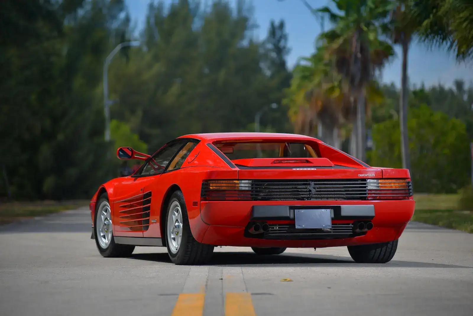testar-red-rear