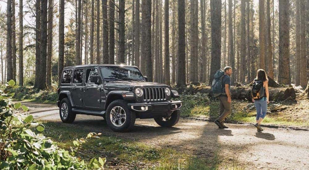 A grey 2020 Jeep Wrangler Unlimited is shown parked near a hiking trail.