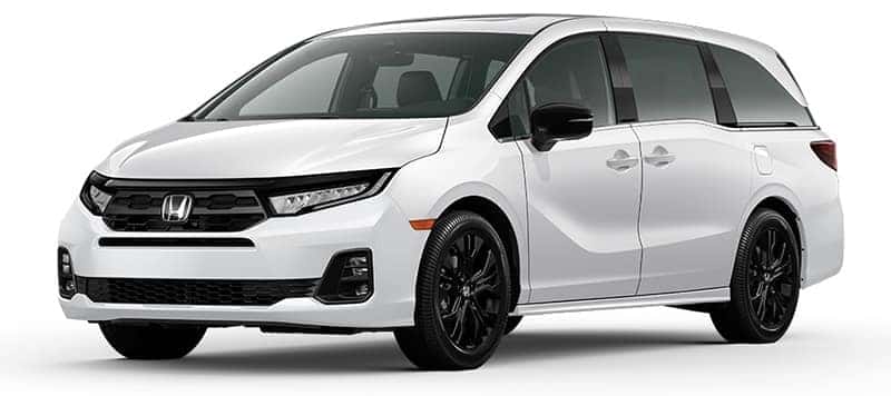 Sport-L