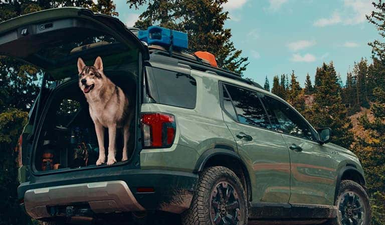 New 2026 Honda Passport Duluth GA