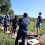 Hello Plant a Tree Day