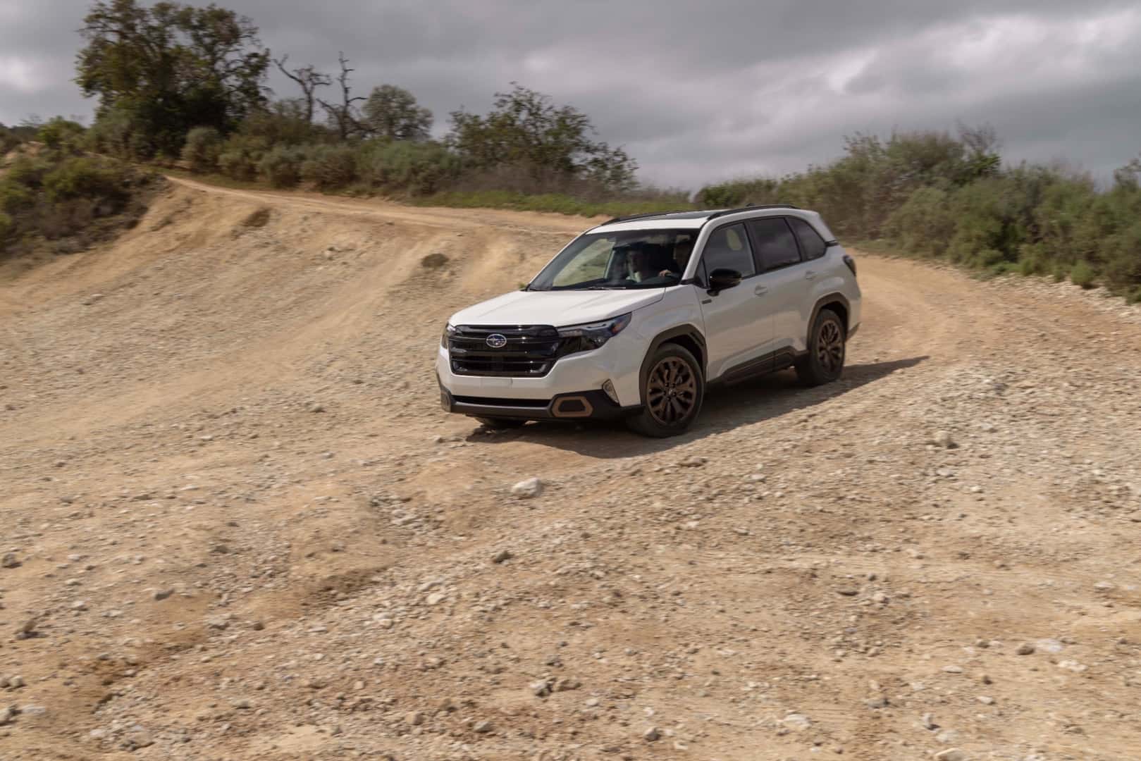 Subaru Forester near me