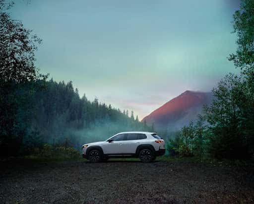 Mazda CX-50 forest view