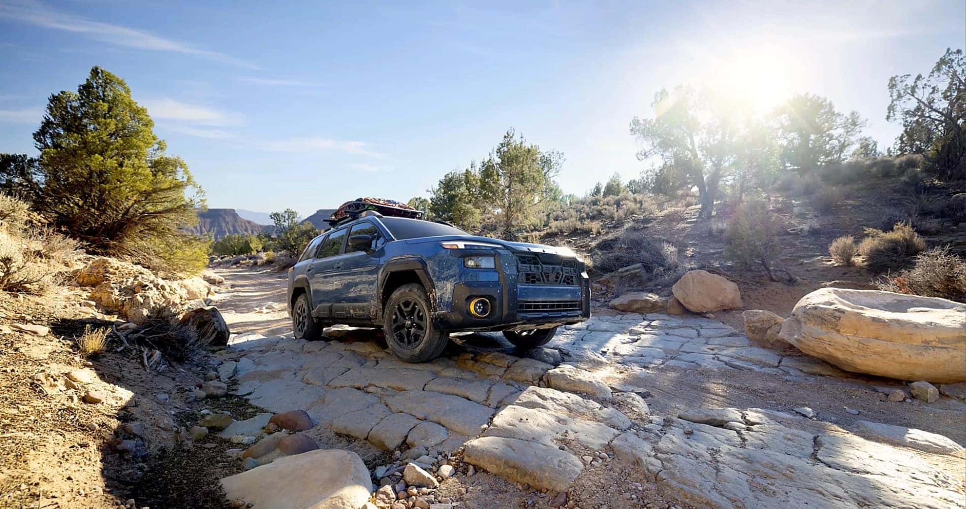 Subaru Best Car Brand?