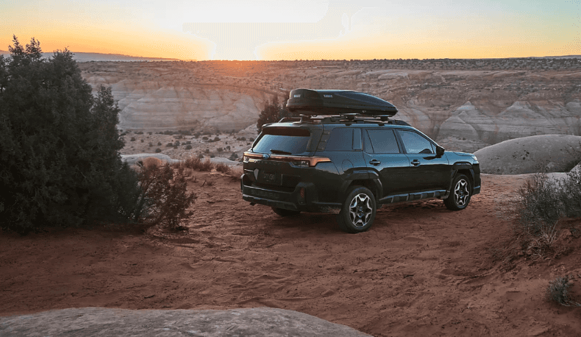 Why Subaru AWD Fits SoCal Terrain