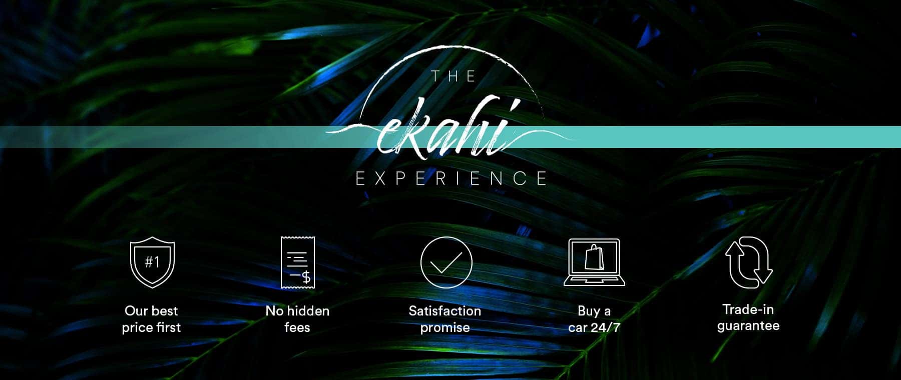 The ekahi experience Banner