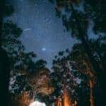 A person sits by a campfire surrounded by trees