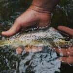 Fishing