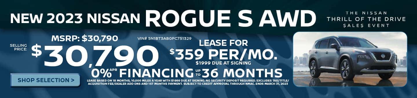 Rogue S