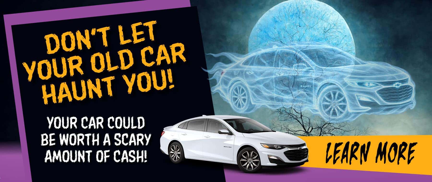 We Buy Cars