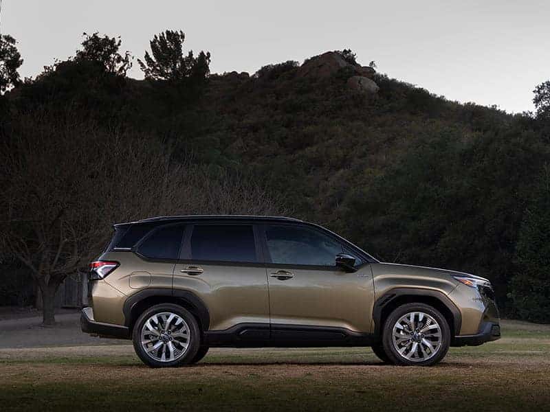 Order your 2025 Subaru Forester Hybrid Now from Pfaff Subaru in Guelph