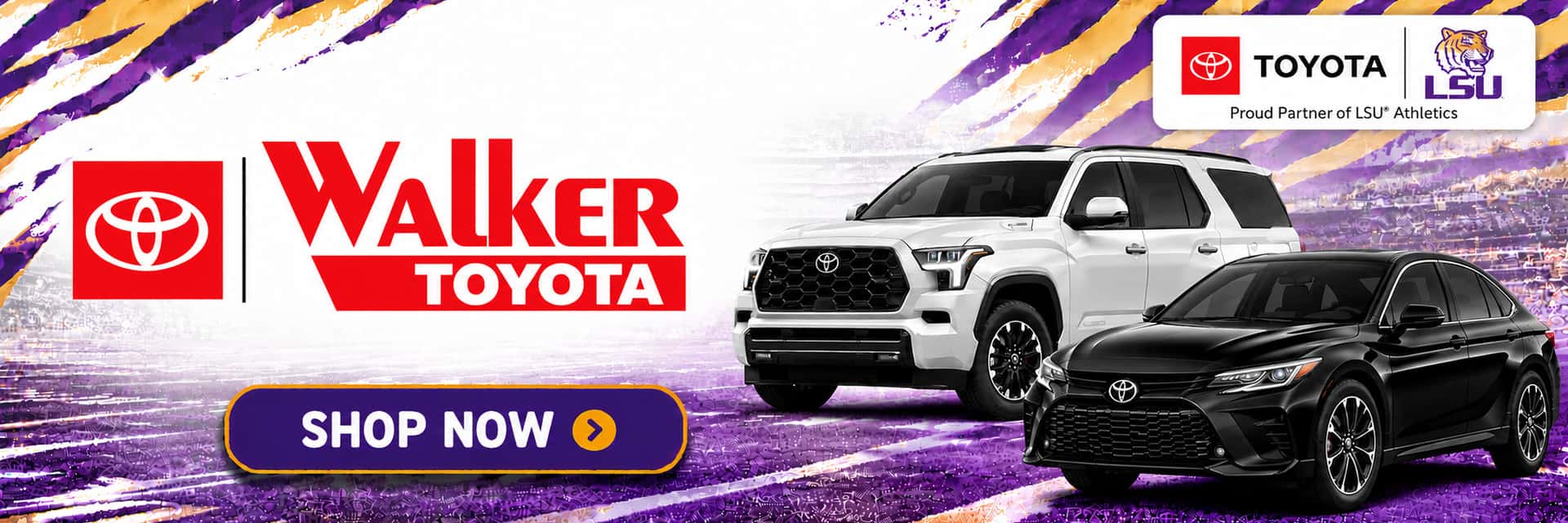 LSU BANNER