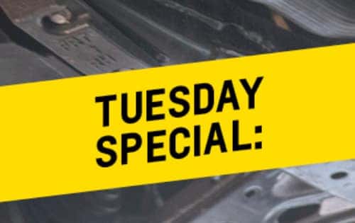 NEW Daily Specials